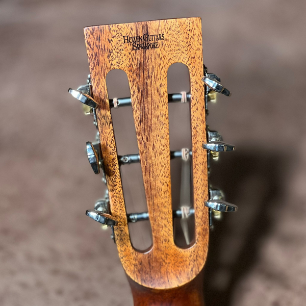 Hozen Guitars Red Label | OMIR4QHV with LR Baggs Duet | Charlie Lim