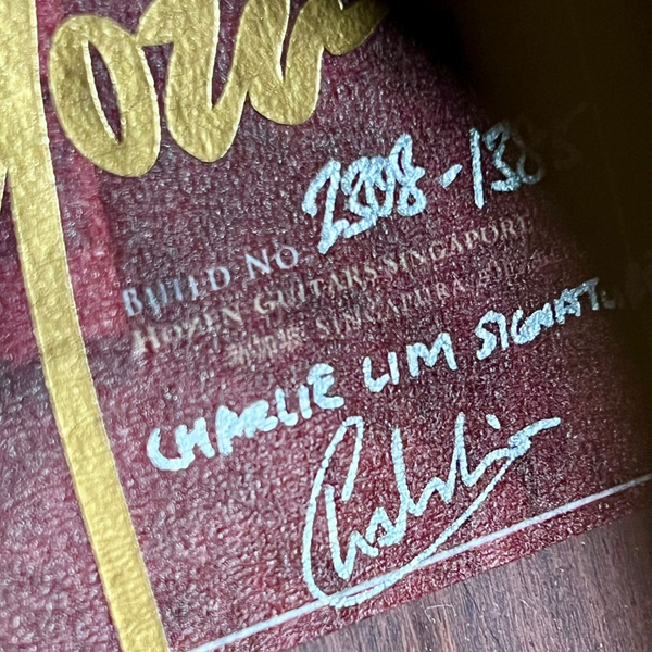 Hozen Guitars Red Label | OMIR4QHV with LR Baggs Duet | Charlie Lim