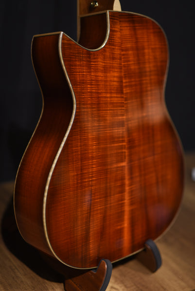 Maestro Private Collection Victoria AB CSB AX PC-VIABCSB4AX Violin Burst