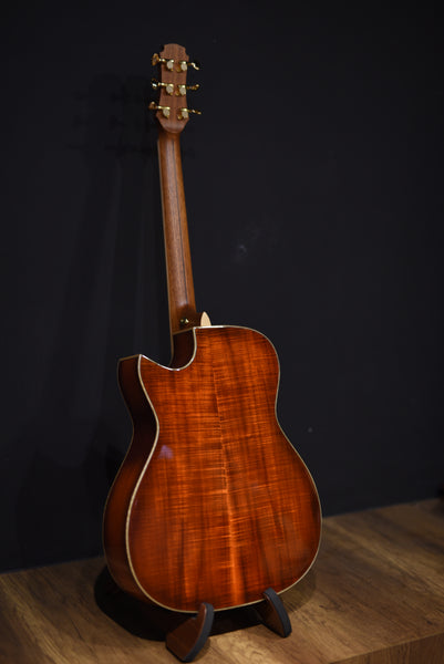 Maestro Private Collection Victoria AB CSB AX PC-VIABCSB4AX Violin Burst