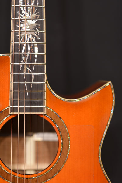 Maestro Private Collection Victoria AB CSB AX PC-VIABCSB4AX Violin Burst