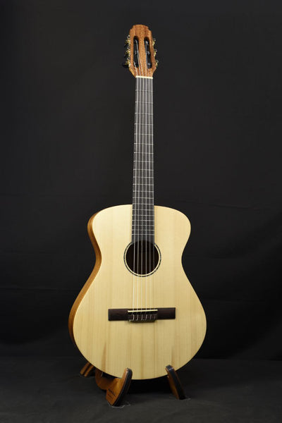 Project X by Maestro Guitars X1-VE-NY