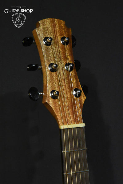 Project X by Maestro Guitars X1-TE