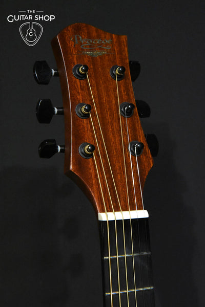 Protege Guitars TS-10EQ Acoustic